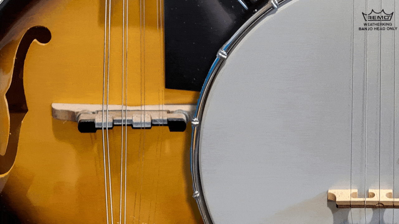 banjo
